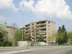 Bild Bananenblock